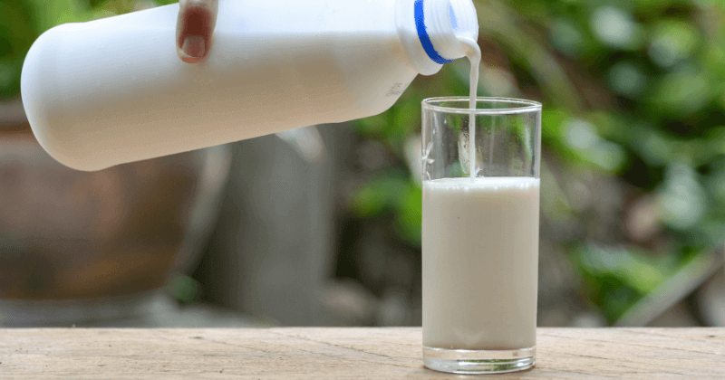 Protein in 100 ml of Milk | Nutrition Guide