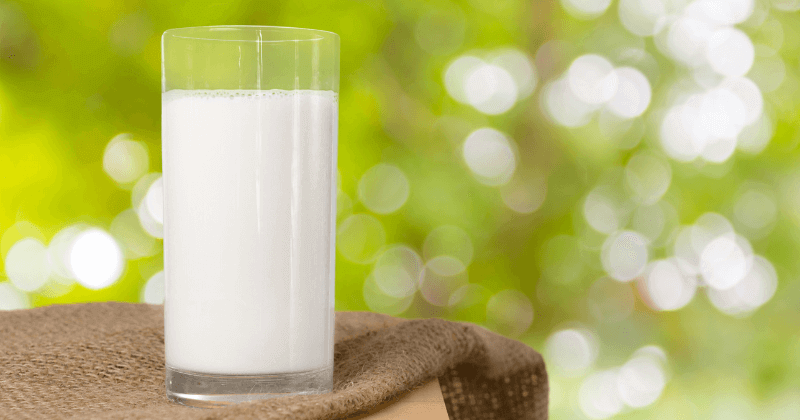 Protein & Calories in 250 ml of Milk
