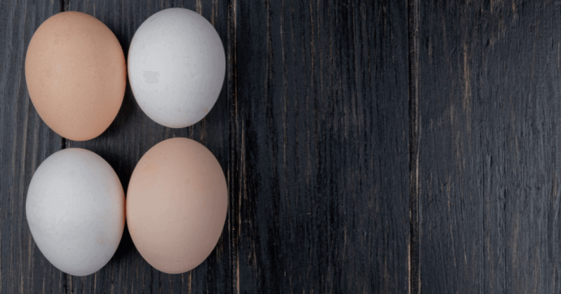 Protein & Calories in 4 Eggs