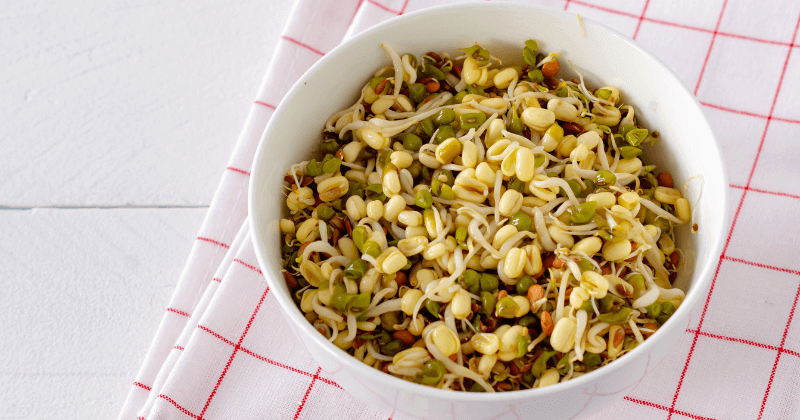 Protein in 50 Gm of Sprouts - Nutrition Chart