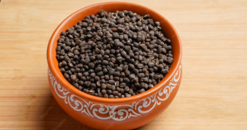 Protein in Black Urad Dal Per 100g - Complete Guide