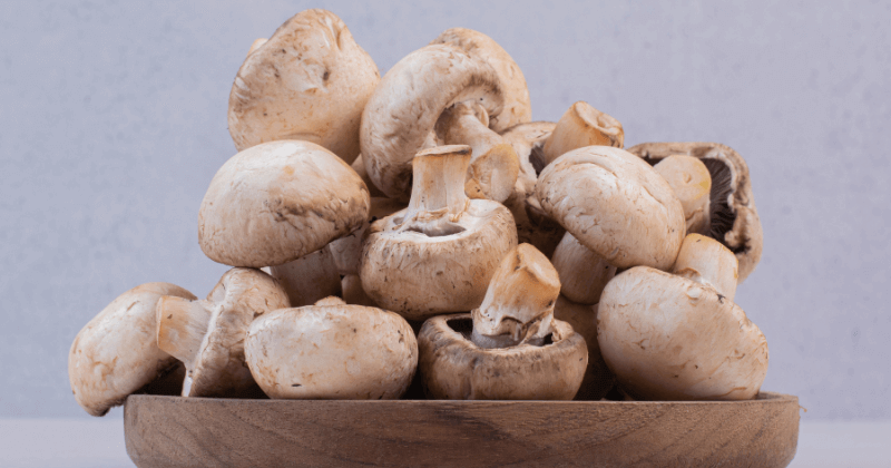 Button Mushroom Protein Per 100g - Nutrition Facts