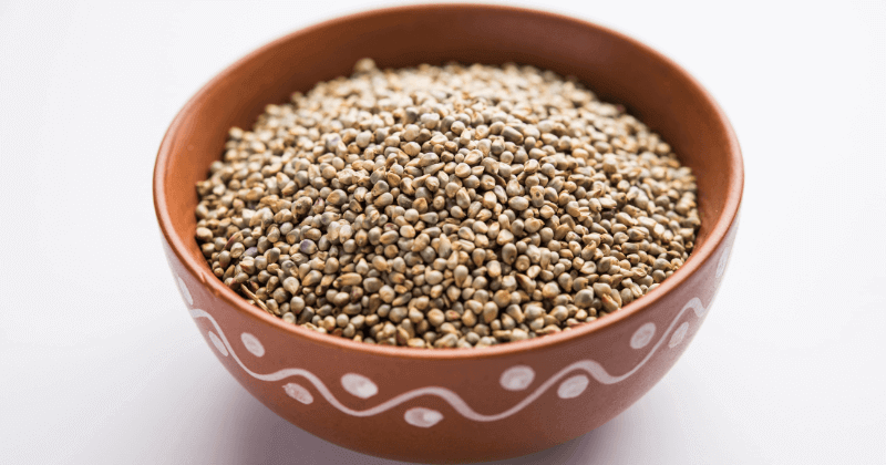 Protein in Jowar Per 100g - Detailed Guide
