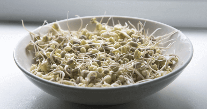 Protein in 100 Gm Moong Sprouts | Complete Guide