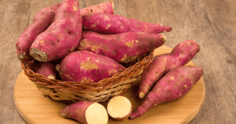 Protein in Sweet Potato Per 100g - Complete Guide