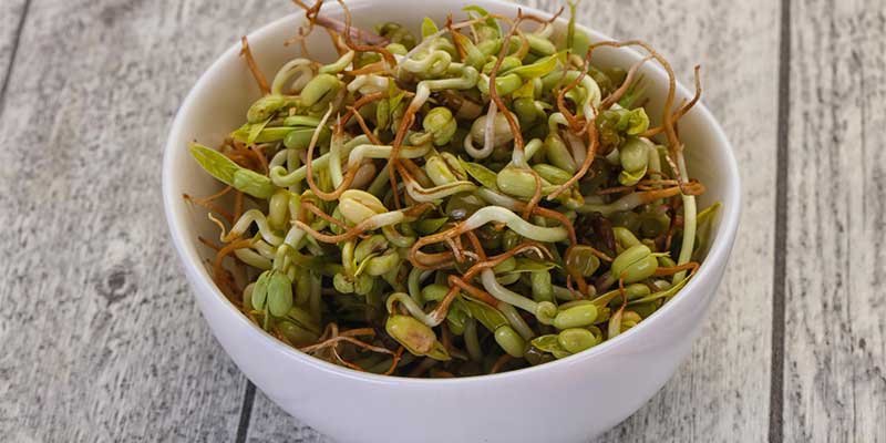 Protein in Sprouts per 100g: Full Nutrition Breakdown