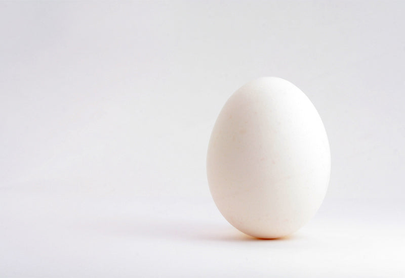 Protein in 1 Egg White - Nutrition Breakdown