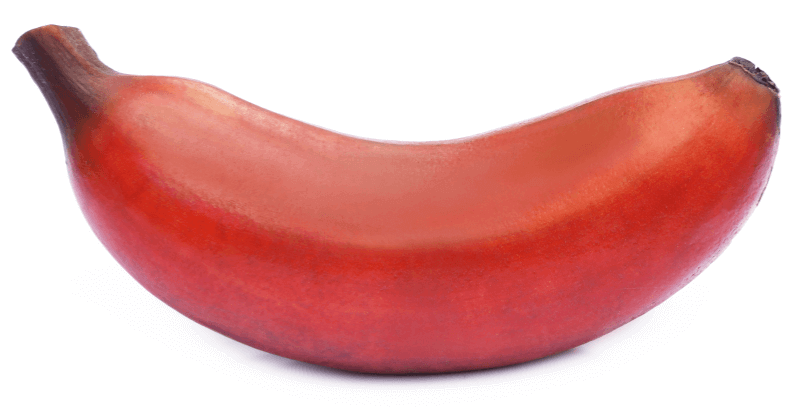 Protein in 1 Red Banana - Nutritional Profile