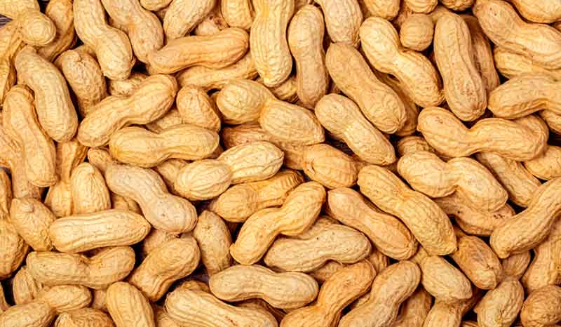 Protein in 50 Grams of Peanuts - Nutritional Value