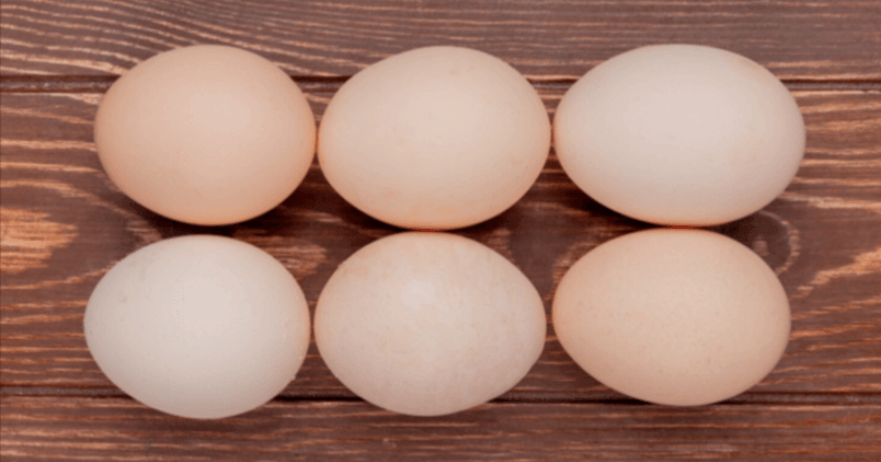Protein in 6 Whole Eggs - Nutritional Value