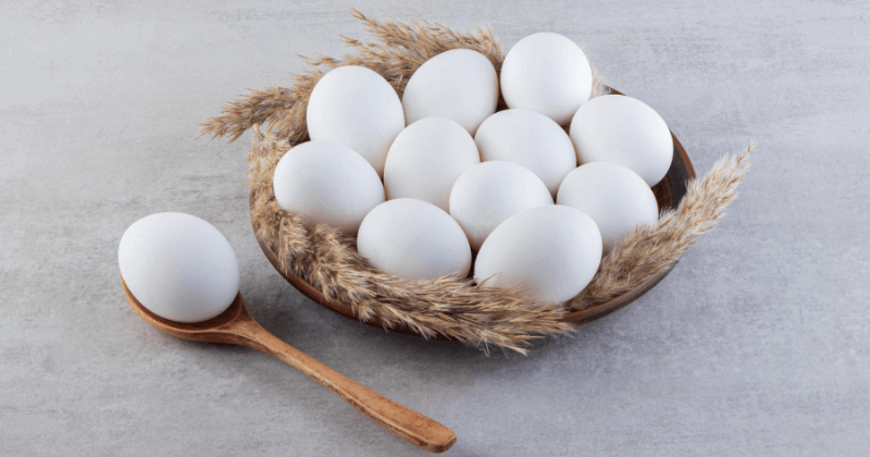 Protein in 8 Egg Whites - Nutrition Profile