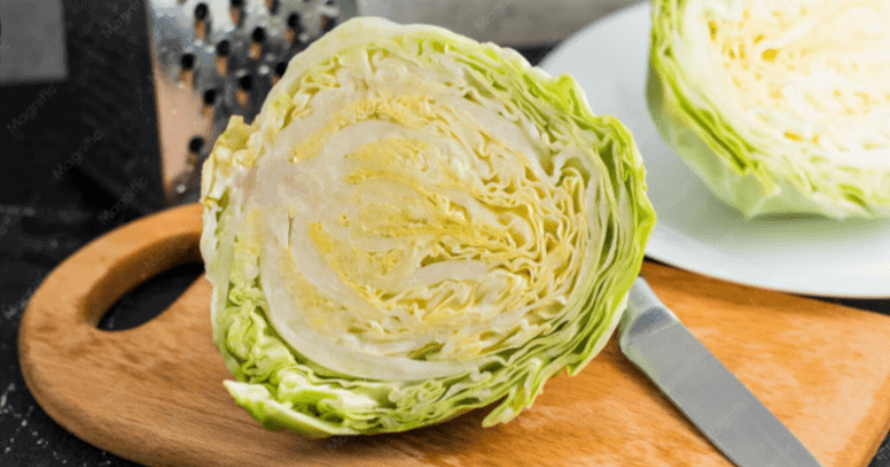 Protein in Cabbage Per 100g - Nutrition Profile