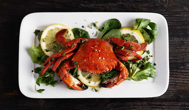 Protein in 100g of Crab - Health Effects & Benefits