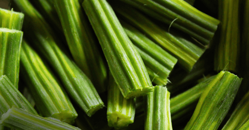 Protein in Drumstick Per 100g - Complete Guide
