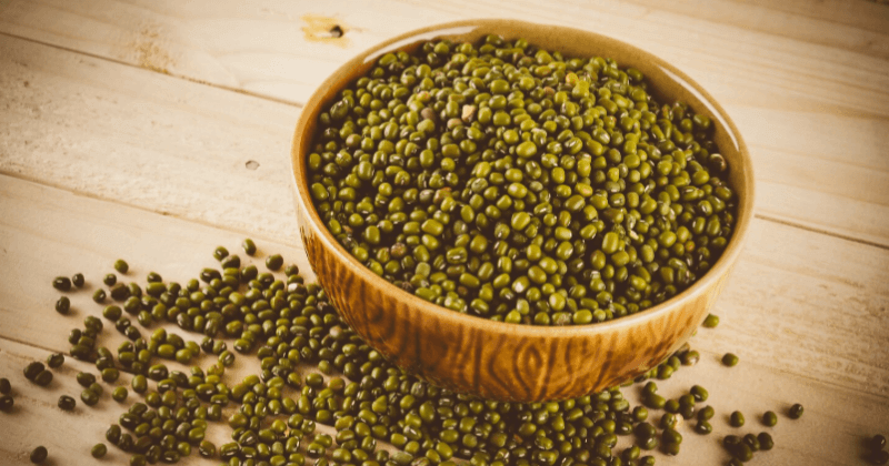 Protein in Green Moong Per 100g - Nutritional Profile