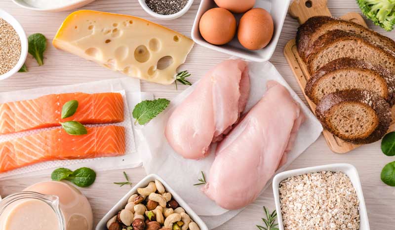How Protein Supports Daily Physical Activity?