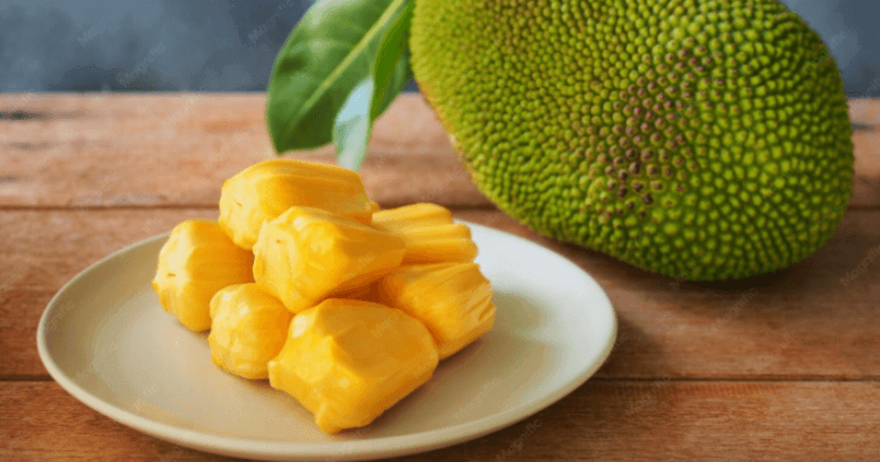 Protein in Jackfruit per 100g - Nutritional Breakdown