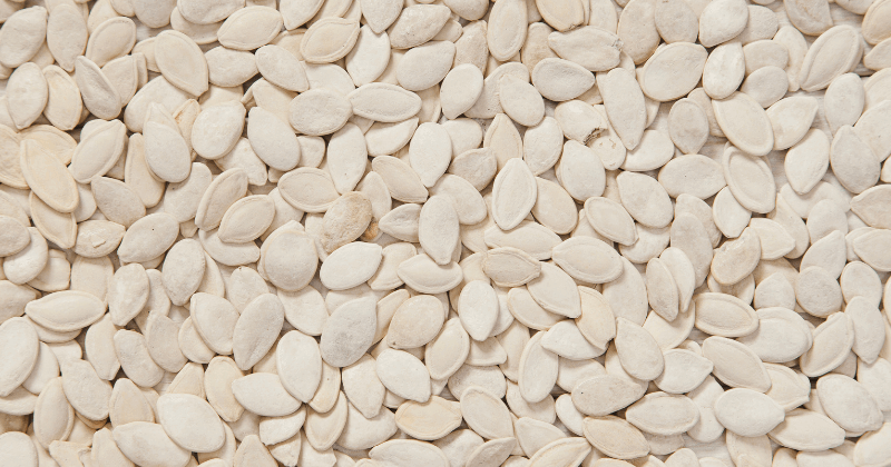 Protein in Watermelon Seeds: Nutritional Breakdown