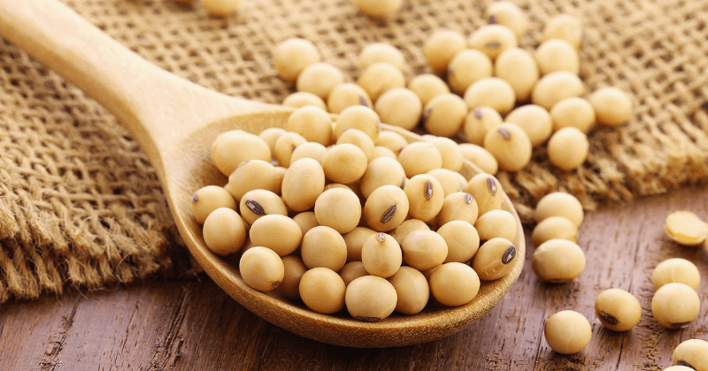 Soybean Protein Per 50g - Nutritional Facts