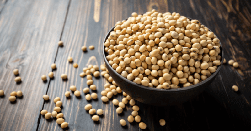 Protein in Soybean Seeds Per 100g - Nutritional Value
