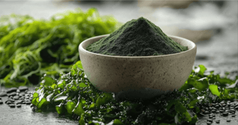 Protein in Spirulina Per 100g - Nutritional Breakdown