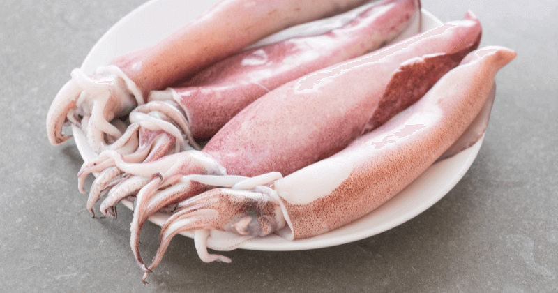 Protein Per 100g of Squid | Simple Nutrition Guide