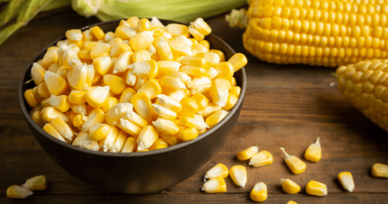 Protein in Sweet Corn Per 100g - Nutritional Profile