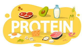 11 Things Protein Does For Your Body Every Day