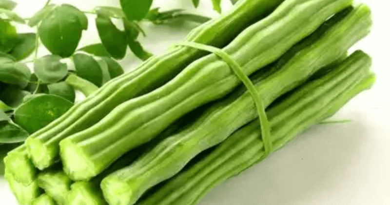 Protein in Drumstick Vegetable - Nutritional Profile