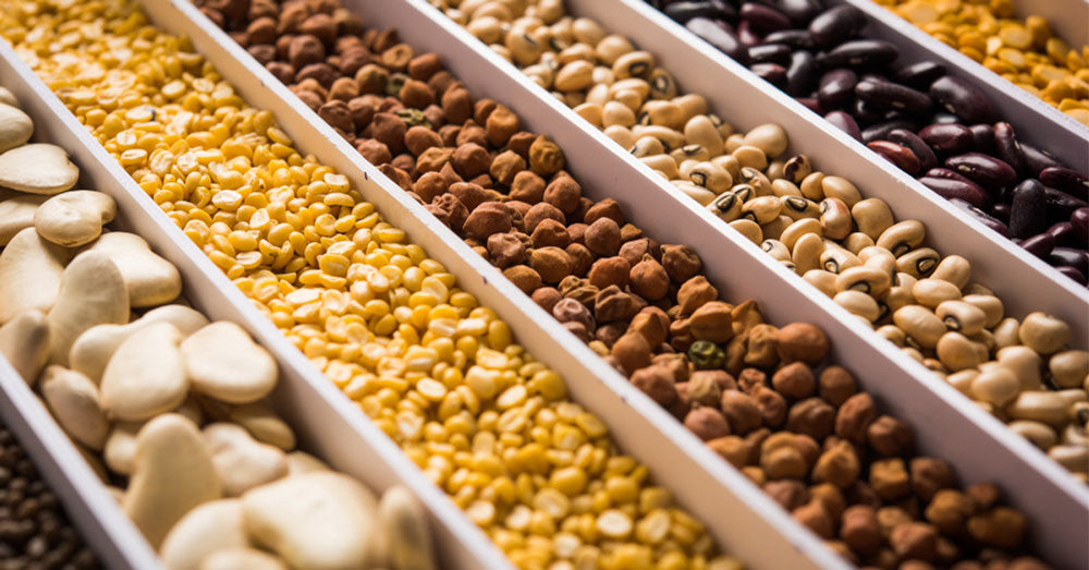 Protein in Dal per 100g - Nutrition Profile