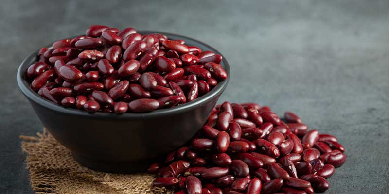 Protein in Rajma per 100g: A Complete Nutrition Guide