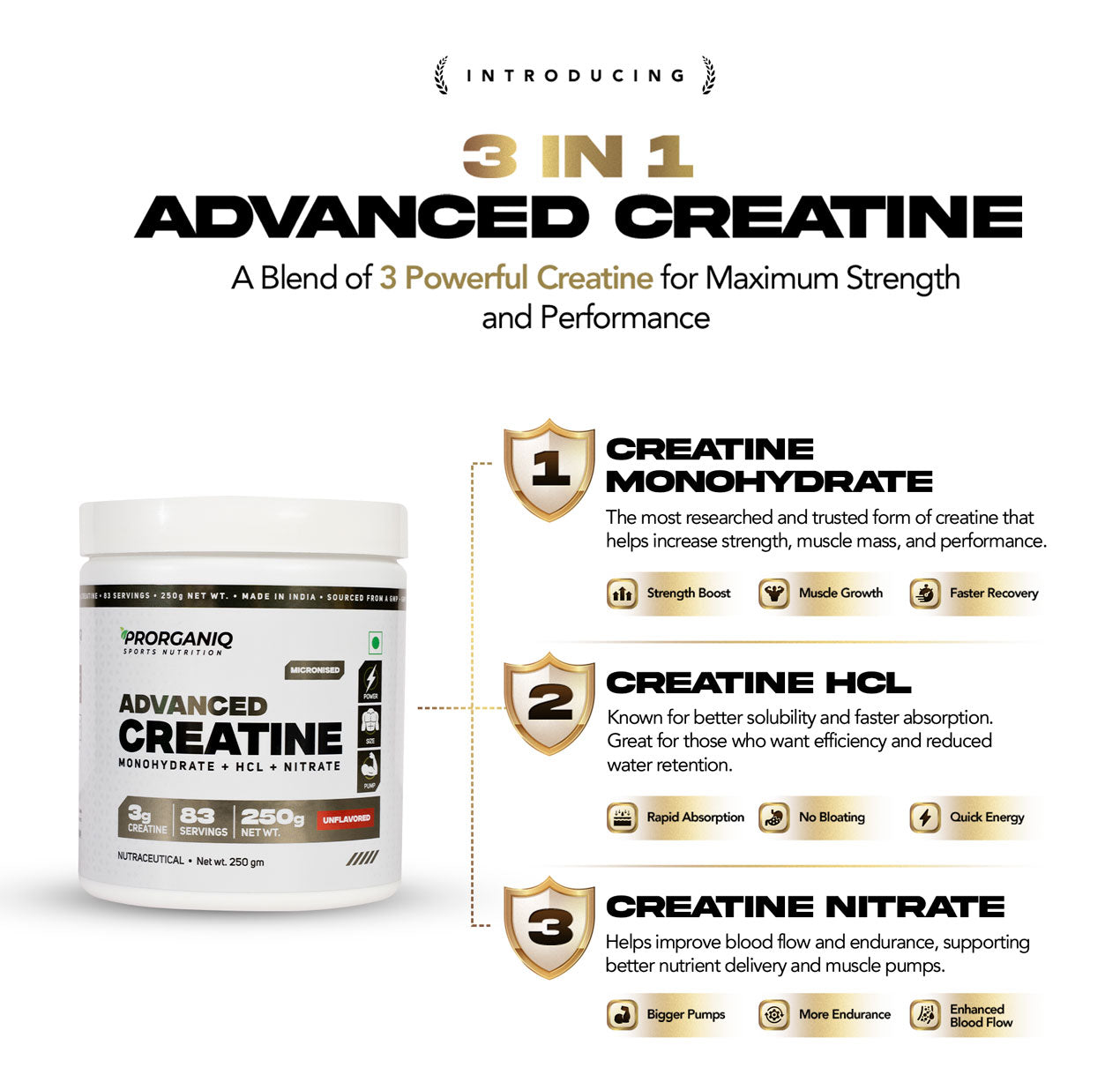 7 Reasons Why Creatine Is a Gym-Goer's Best Friend – Prorganiq